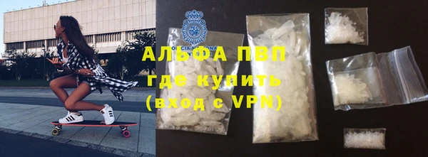 ешки Богданович