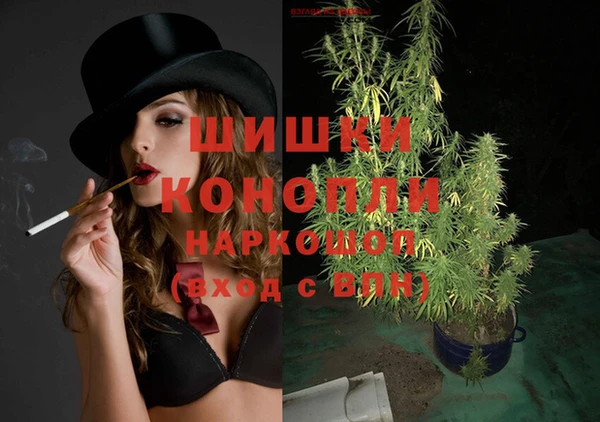 стаф Сосновоборск