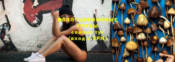 ешки Богданович