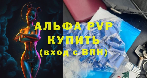 ешки Богданович