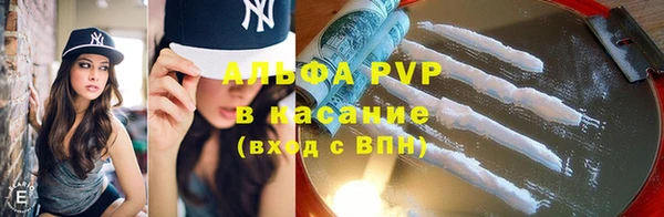 ешки Богданович